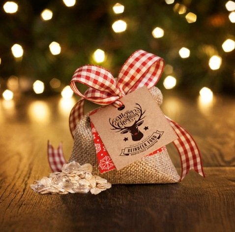 myletterfromsantaclaus gift bag